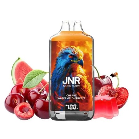 Puff Falcon-X Plus 28K Cherry Watermelon Freeze 950mAh 2ml - JNR