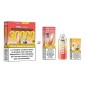 Puff Dojo Blast Bundle 30K Pêche Mangue Ananas - Dojo by Vaporesso