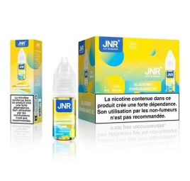 E-liquide Blueberry Pomegranate Ice 10ml JNR Falcon-X Plus - Sel de Nicotine 20mg
