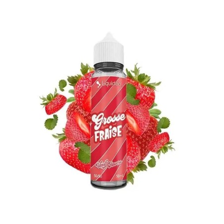 Grosse Fraise 50ml Wpuff Flavors - Liquideo